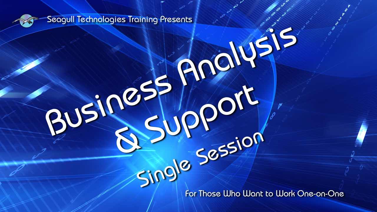 Business Analysis & Support