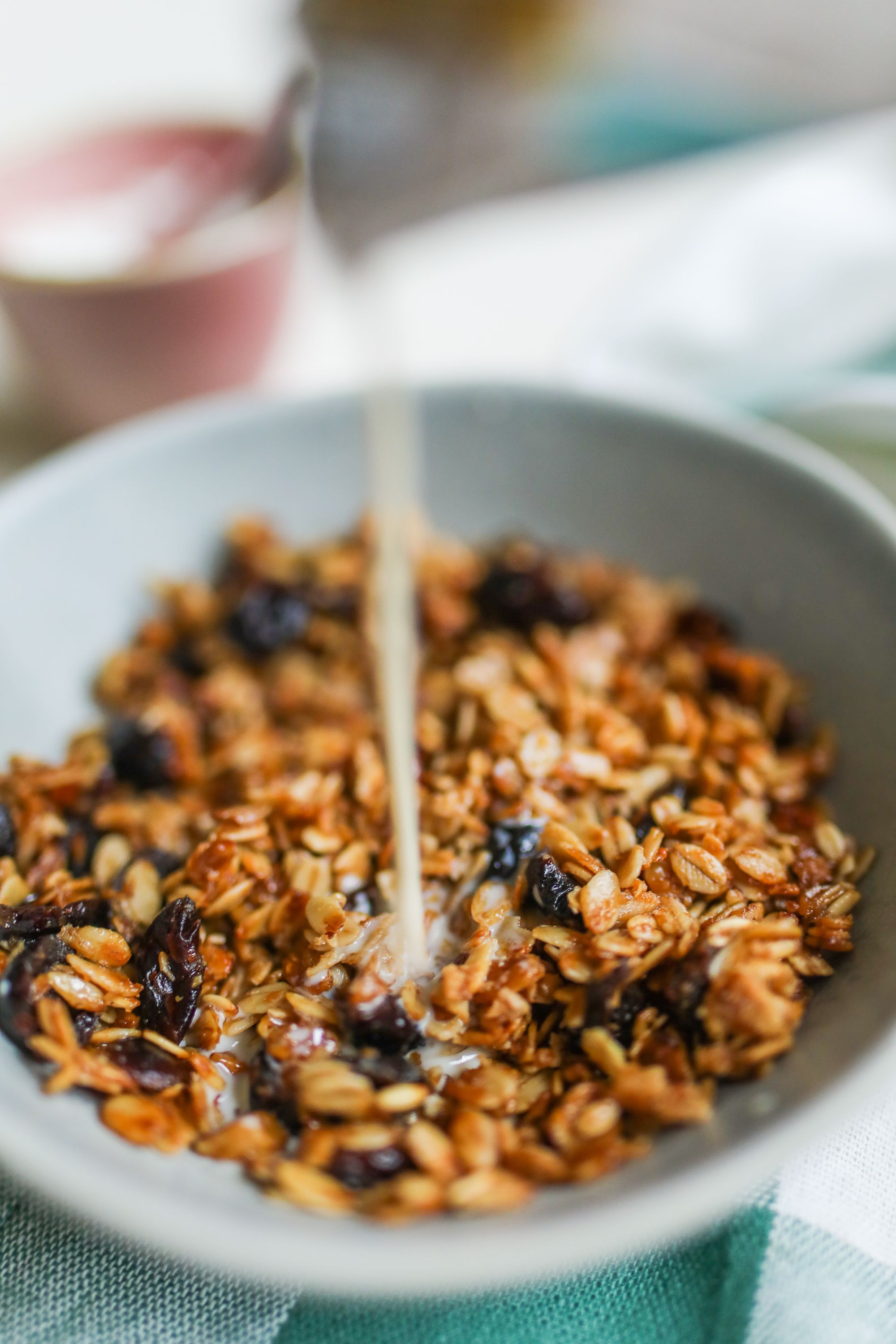 Roger's Yummy Low Carb Granola